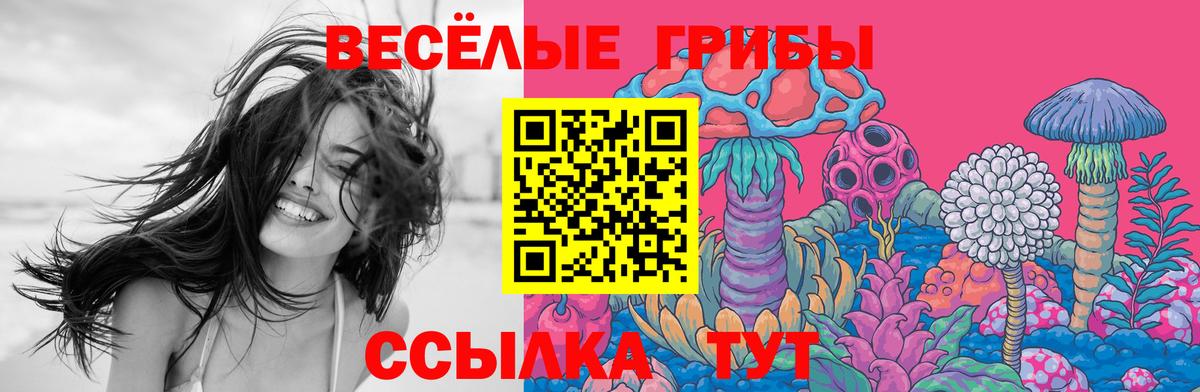 Галлюциногенные грибы GOLDEN TEACHER Вязники