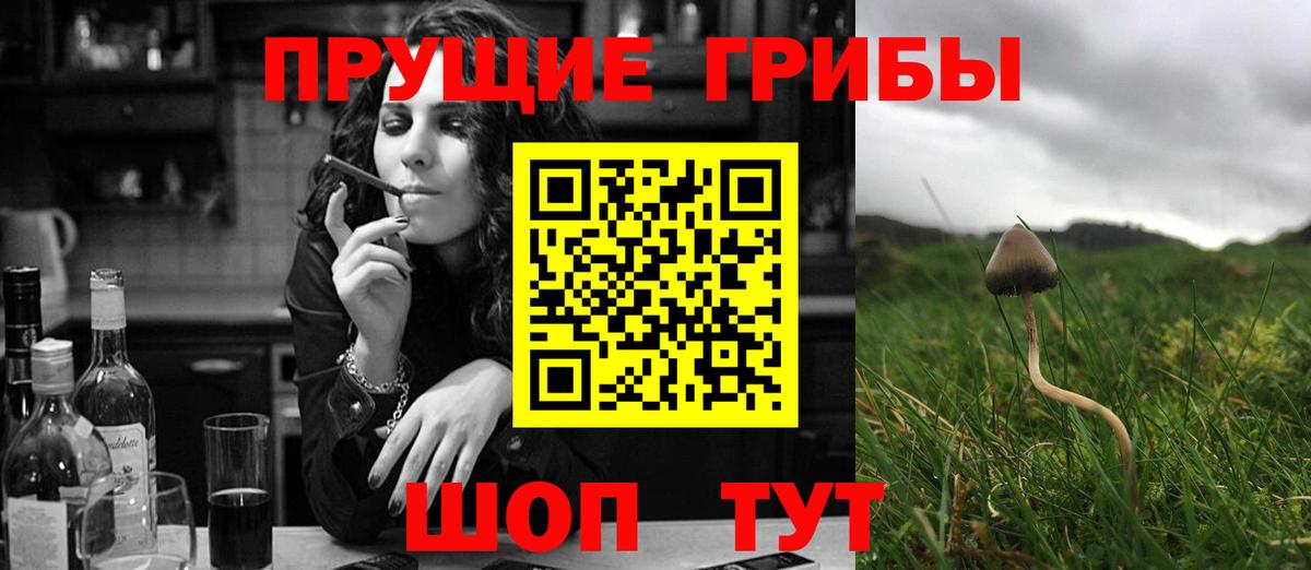 Вязники  Галлюциногенные грибы прущие грибы  Вход с VPN 